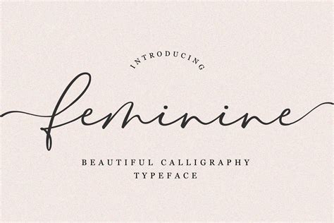 Feminine Font Metafontsy Fontspace