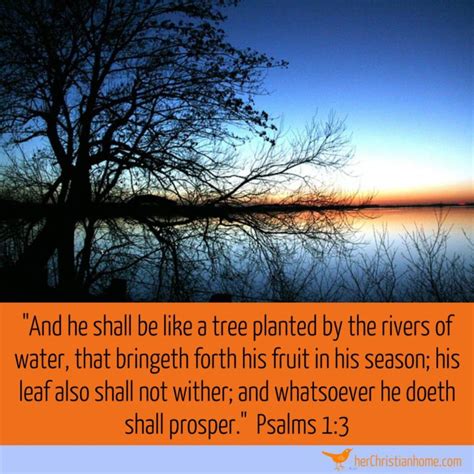 And He Shall Be Like A Tree Planted By The Rivers Of Water Psalms