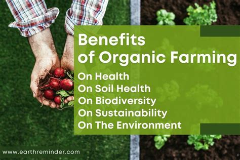 Benefits of organic farming – Artofit