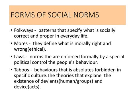 Socialization Report And Presentation Pptx
