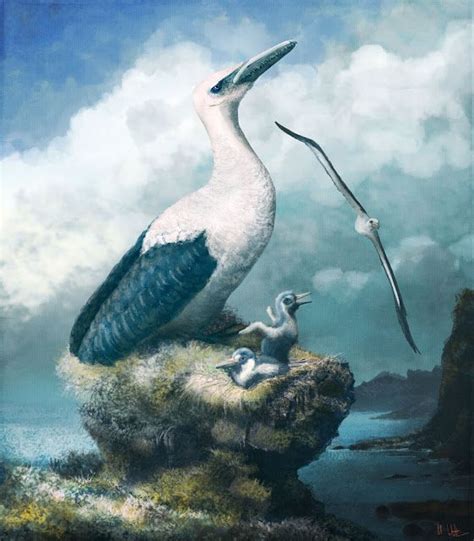 Miocene Pelagornithid Pelagornis Chilensis Parents And Chicks By Mark