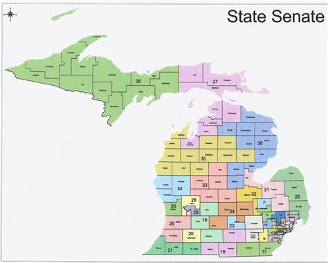 The Western Right: 2014 Michigan State Senate Elections