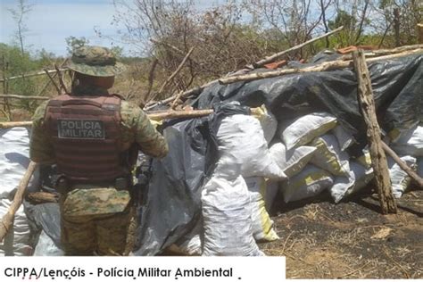 Policia Militar Ambiental E Inema Destroem Forno E Toneladas De Carv O