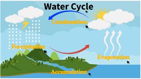 Interactive Water Cycle