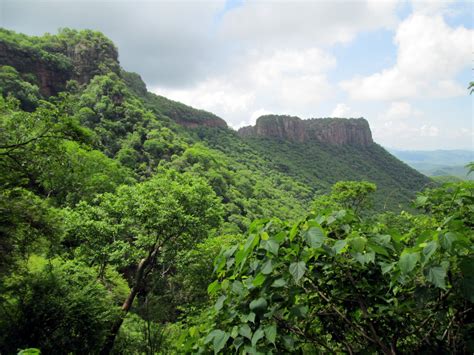 March is dedicated to a bird of Mexico... - Nature and Culture International