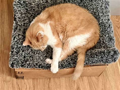 Fluffy Crochet Cat Mat Free Crochet Pattern