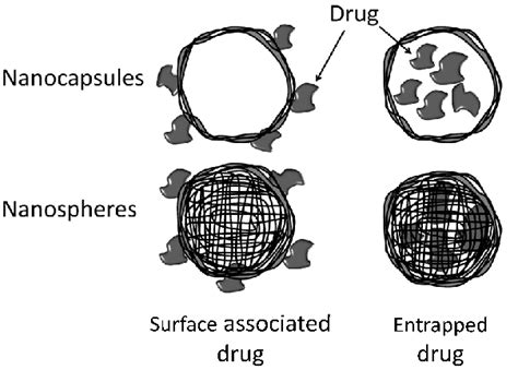 Schematic Representation Of Polymeric Nanoparticles Nanocapsules Have