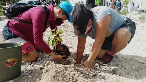 Aguakan realiza jornada de reforestación y reafirma compromiso con el