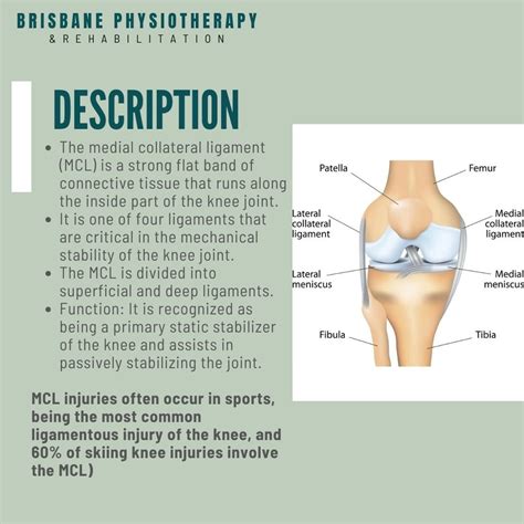 What is a MCL Injury? - Brisbane Physiotherapy