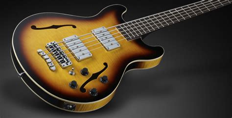 Warwick Teambuilt Pro Series Star Bass 5 String Bass North