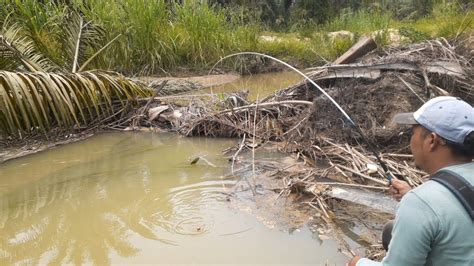 Niat Mancing Ikan Putihan Malah Jumpa Rombongan Ngepet YouTube