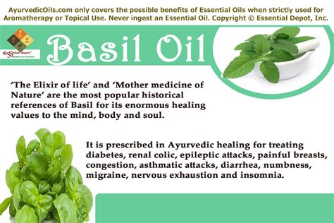 Chemical Constituents Of Basil Oil Essential Oil