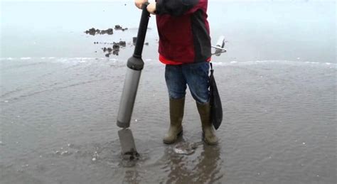 How To Razor Clam Razor Clam Digging Wandering Rv Life