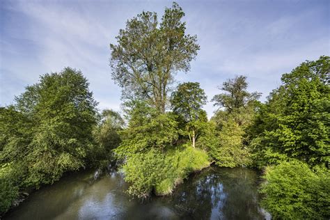 Offener Brief Dachauer Land