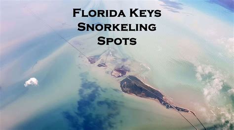 Recommended Snorkeling Spots In The Florida Keys