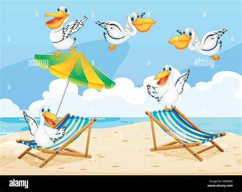 Scene With Pelican Birds On The Beach Illustration Stock Vector Image