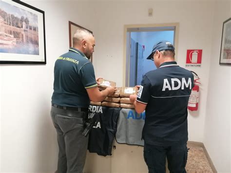 Contrasto Alla Droga Nuovo Sequestro Al Porto Di Livorno Messaggero