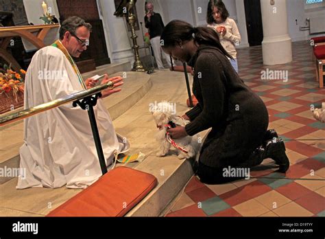 Priest blessing a dog during a pet blessing ceremony in church. SE ...