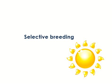 Selective Breeding Ks3 Teaching Resources