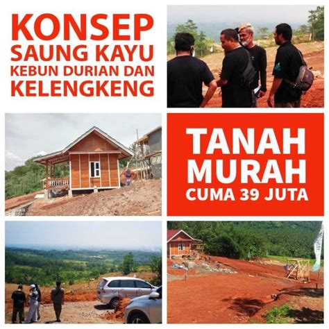 Tanah Murah Konsep Saung Kayu Estetik Dan Kebun Buah Produktif