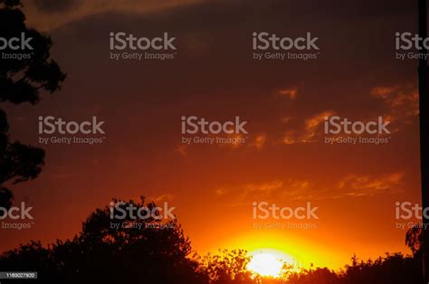 Golden Sunrise Over The Country Stock Photo Download Image Now