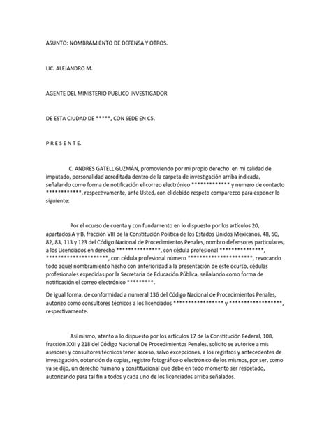 Nombramiento De Defensor Pdf