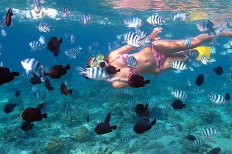 Bali Blue Lagoon Snorkeling With Bali Swing Lunch And Transfer