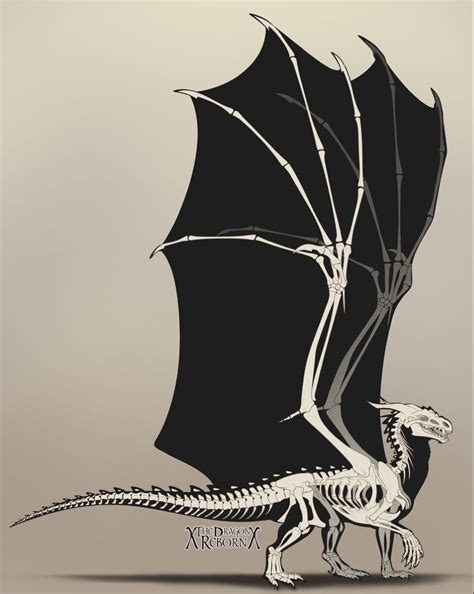 pin  vartifex  disegno dragon skeleton dragon drawing dragon