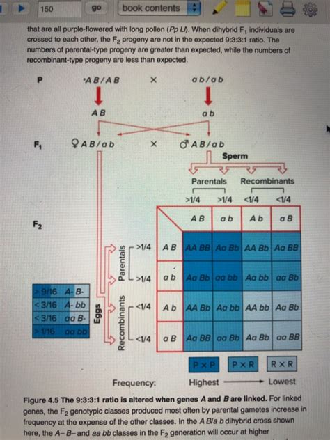 Solved The Punnet Square Shows How Mendels Dihybrid Cross Chegg