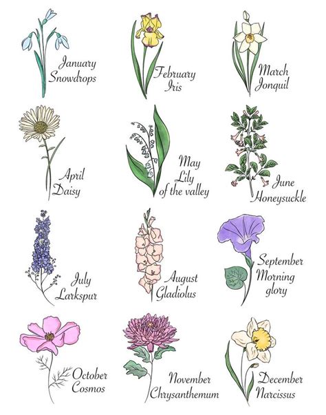 Watercolour Birth Flowers Clipart Flower Art Watercolour Floral Png