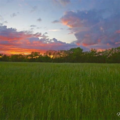 Meadow Sunset - Martin Spilker Photography