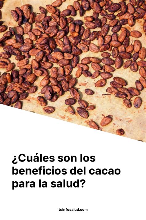 ¿cuáles Son Los Beneficios Del Cacao Para La Salud Tuinfosalud