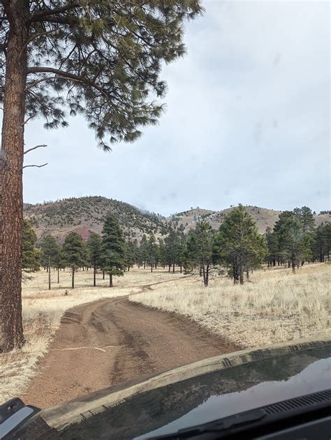 Epic road trip, but had to say goodbye to my German Shepherd before we