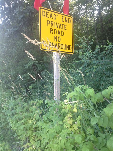 The california automobile association offers a secret roadside perk 7