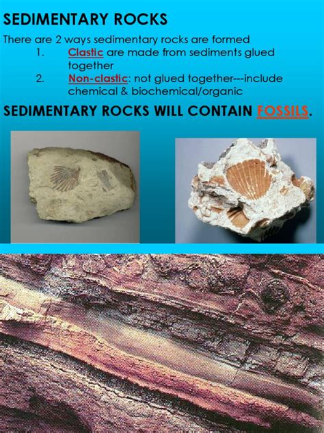 Formation of Sedimentary Rock PowerPoint | Sedimentary Rock | Clastic ...