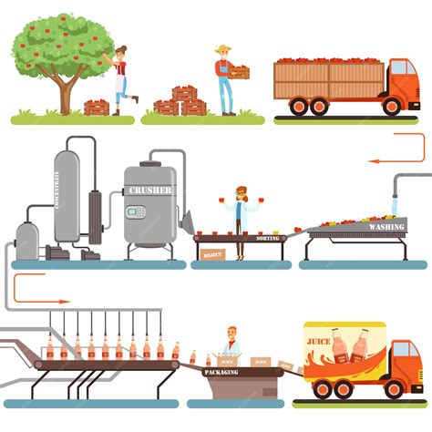 Etapas Del Proceso De Producción De Jugo Fábrica Que Produce Jugo De