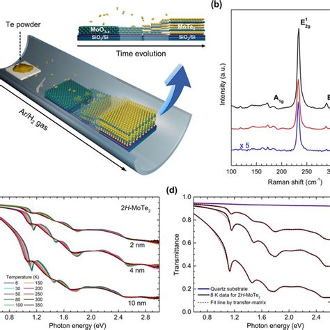 Synthesis Of 2h Mote2 Film And Measurement Transmittance Spectra A Download Scientific