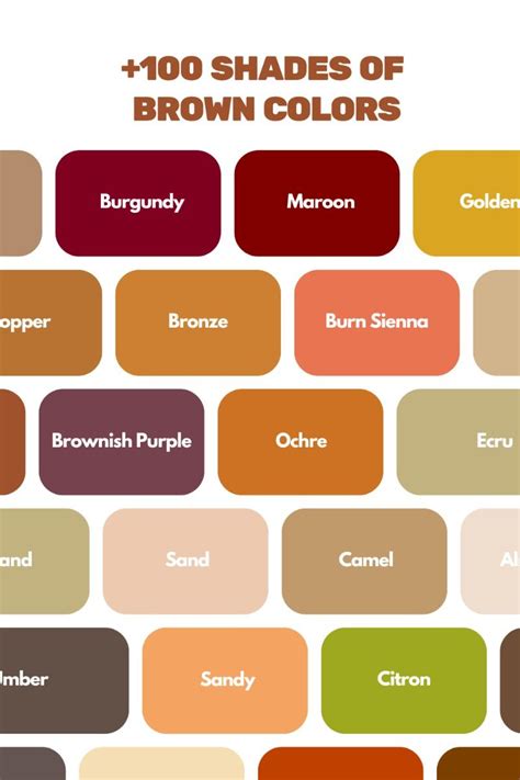 shades  brown colors brown color palette brown color schemes