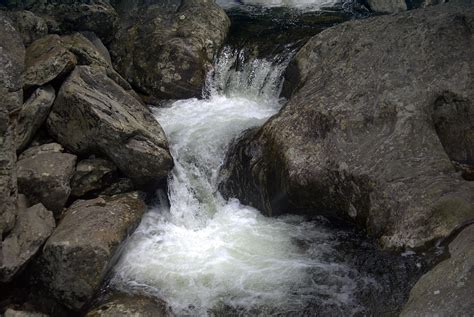 Georgias Seasonal Trout Streams Open March 29 2014 At Lake Allatoona
