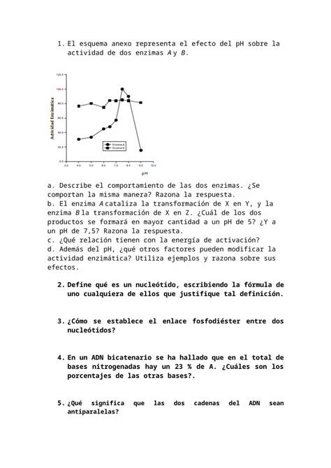 Docx Actividades Cidos Nucleicos Dokumen Tips