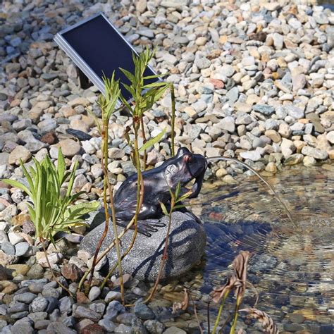 CLGarden Set Frosch Wasserspeier NSP10 Teichfigur Solarbrunnen Mit