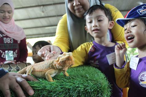 Tadika Nimblebee Student15 Nimblebee Preschool