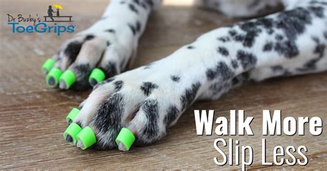 Dr Buzbys Toegrips For Dogs Stop Your Dog From Slipping