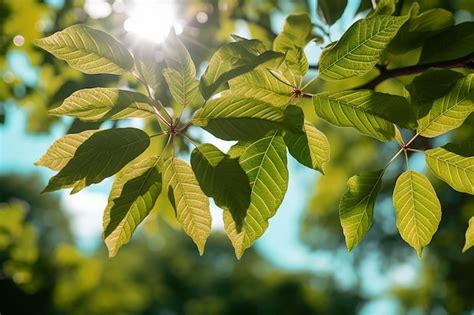 Premium Ai Image Green Leaves On Forest Nature Environment With Sun