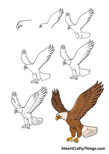 Eagle Drawing - How To Draw An Eagle Step By Step!