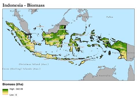 Environmental Biomass