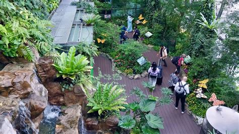 changi airport  singapore  walk   world