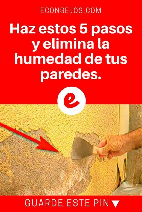 7 Formas Efectivas De Eliminar La Humedad De Las Paredes Pared