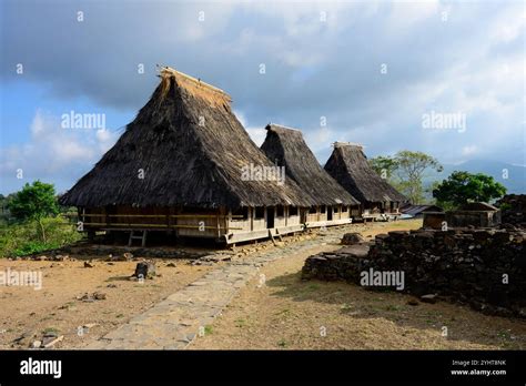 Wologai Traditional Village Tribal Houses Of The Lio Tribe In Flores