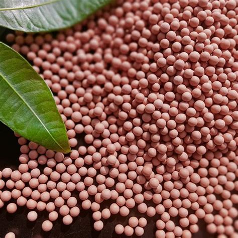 Amazon 2 Lb Ceramsite Horticultural Clay Pebbles 3mm 5mm